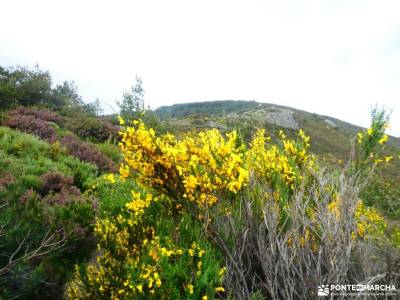 Pico del Lobo - Sierra de Ayllón; ruta transpirenaica agosto vacaciones fotos de cerezos editorial e